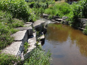 park1